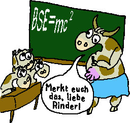 Rinderschule: BSE=mc