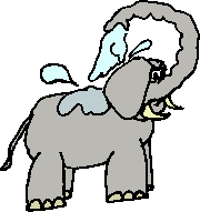 Elefant mit Rsseldusche