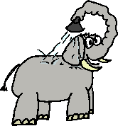 Elefant mit Rsselduschkopf