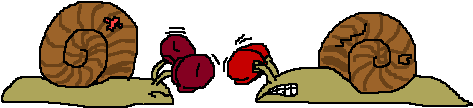 Snail boxing